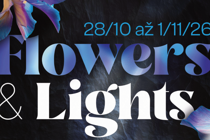 Flowers & Lights